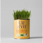 Cat Lover